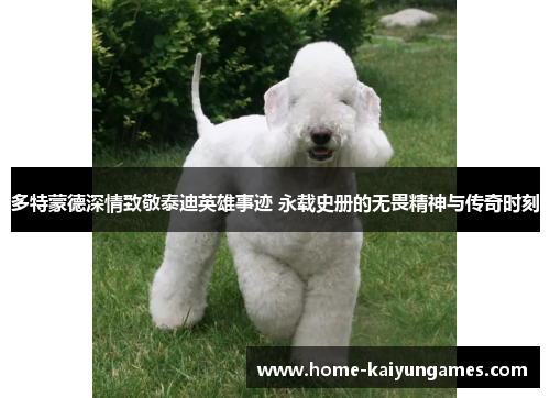 多特蒙德深情致敬泰迪英雄事迹 永载史册的无畏精神与传奇时刻