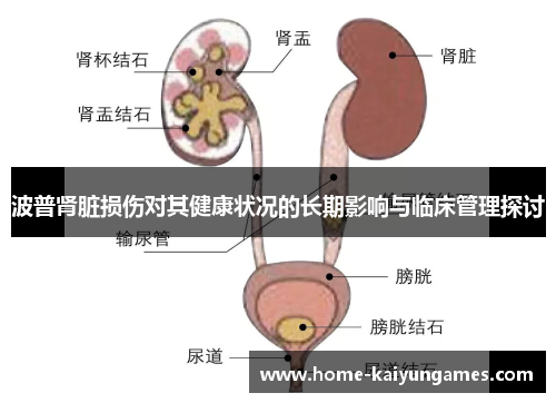 波普肾脏损伤对其健康状况的长期影响与临床管理探讨