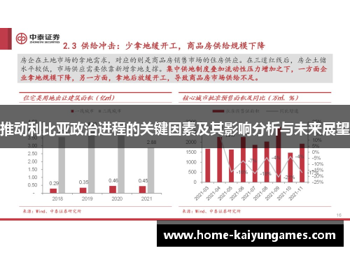 推动利比亚政治进程的关键因素及其影响分析与未来展望