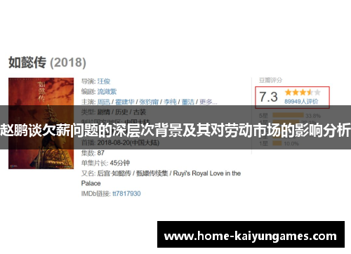 赵鹏谈欠薪问题的深层次背景及其对劳动市场的影响分析 赵鹏谈欠薪问题的深层次背景及其对劳动市场的影响分析